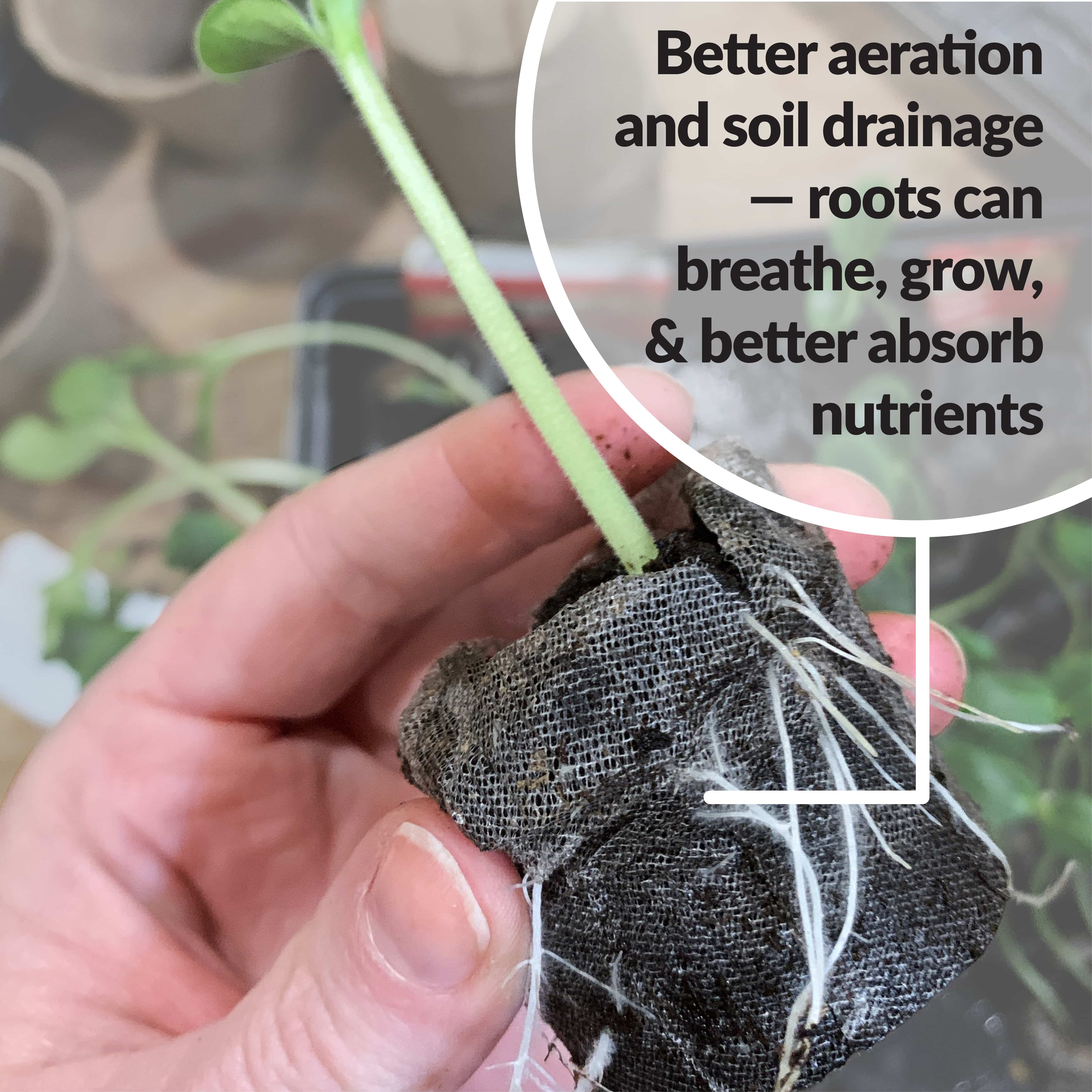 Jiffy peat pots better aeration and soil drainage - roots can breathe, grow, & better absord nutrients
